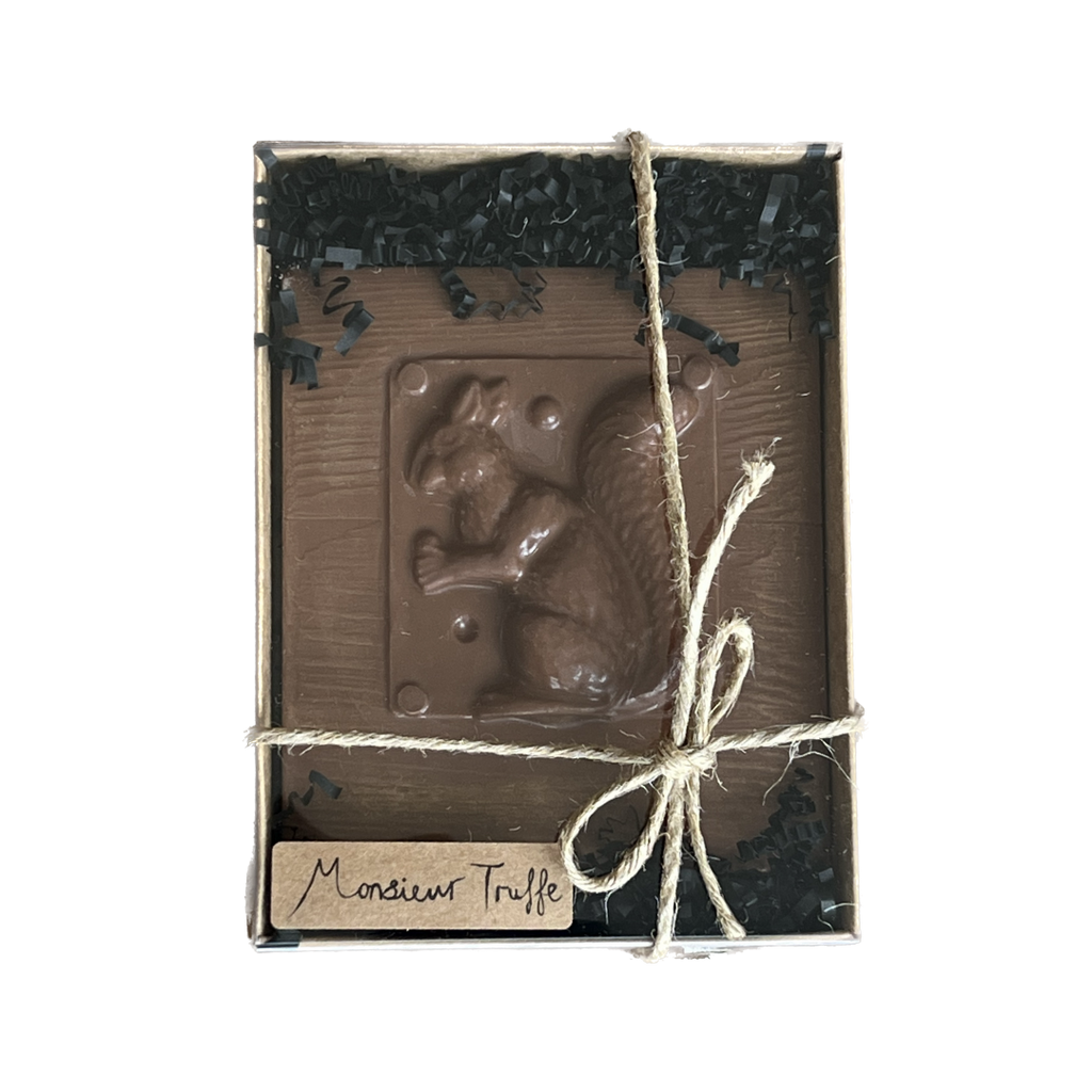 Milk Chocolate Squirrel Gift Box